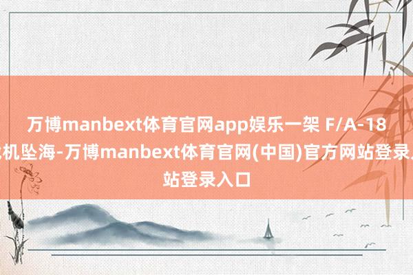 万博manbext体育官网app娱乐一架 F/A-18E 战机坠海-万博manbext体育官网(中国)官方网站登录入口
