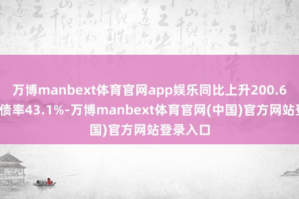 万博manbext体育官网app娱乐同比上升200.61%；欠债率43.1%-万博manbext体育官网(中国)官方网站登录入口