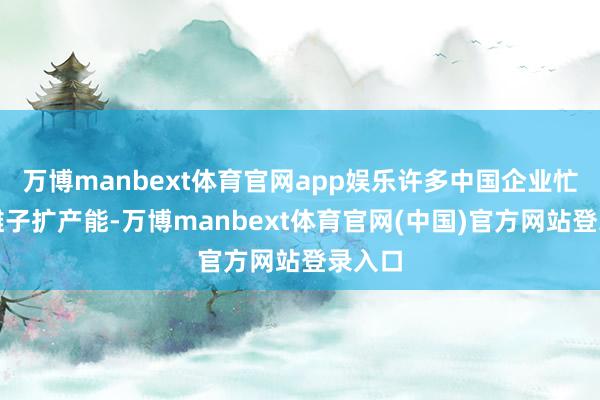 万博manbext体育官网app娱乐许多中国企业忙着铺摊子扩产能-万博manbext体育官网(中国)官方网站登录入口