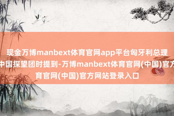 现金万博manbext体育官网app平台匈牙利总理欧尔班在管
