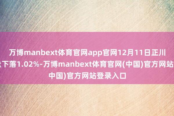 万博manbext体育官网app官网12月11日正川转债收盘