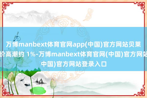 万博manbext体育官网app(中国)官方网站贝莱德午盘股价高潮约 1%-万博manbext体育官网(中国)官方网站登录入口